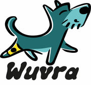 Custom Dog Knee Brace Price Guide 2025: How Wuvra Compares to Leading Brands