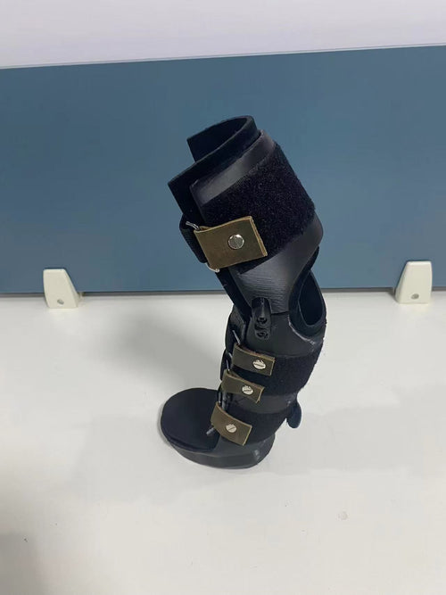 Hock (Tarsus) Braces